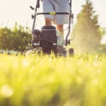Benefits of Professional Lawn Care