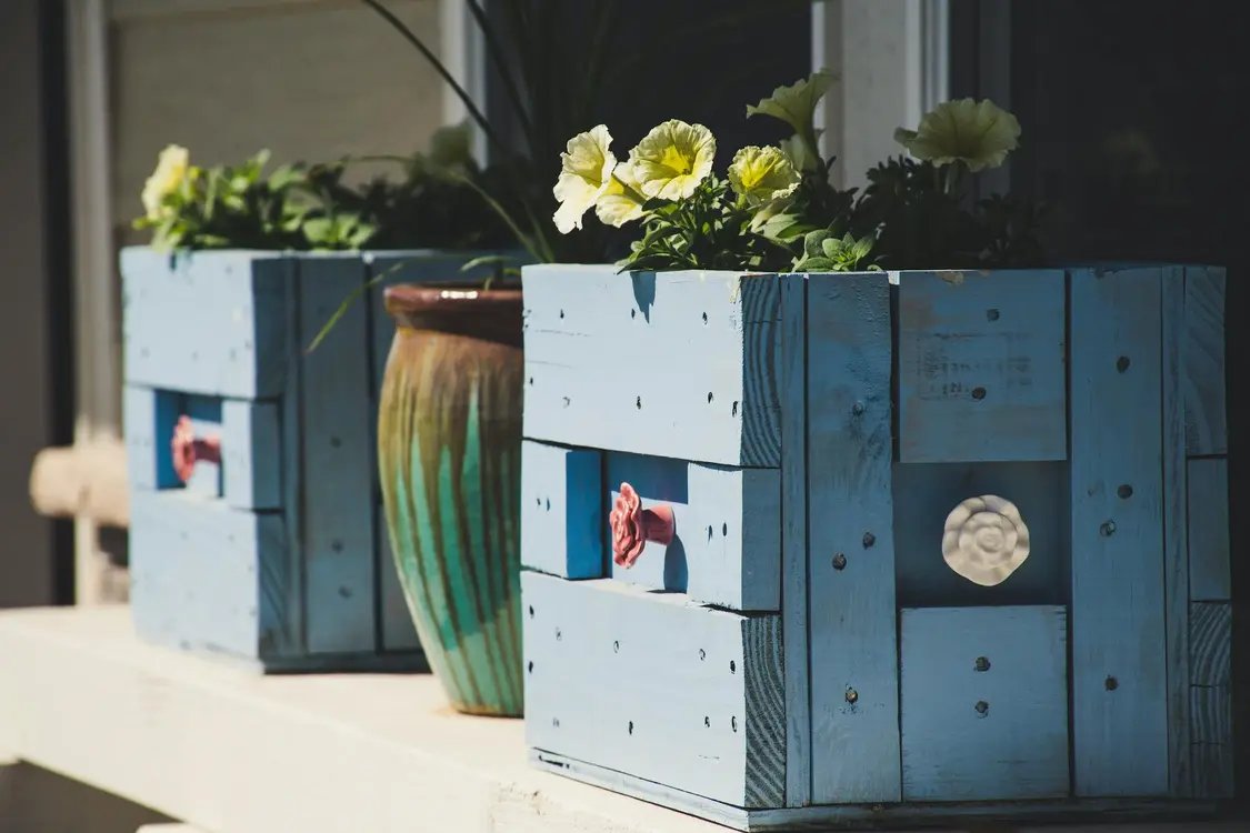 How to build a simple and inexpensive planter box