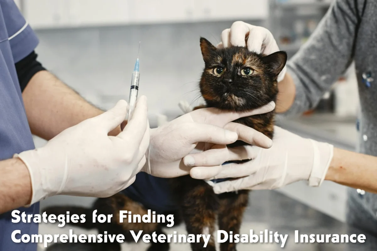 Strategies for Finding Comprehensive Veterinary Disability Insurance