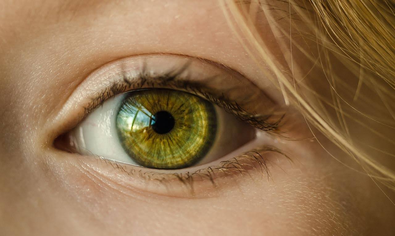 Enhancing Eye Exams with Advanced Vision Screening Technology