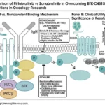 The Growing Importance of Pirtobrutinib vs Zanubrutinib in Oncology Research