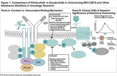 The Growing Importance of Pirtobrutinib vs Zanubrutinib in Oncology Research